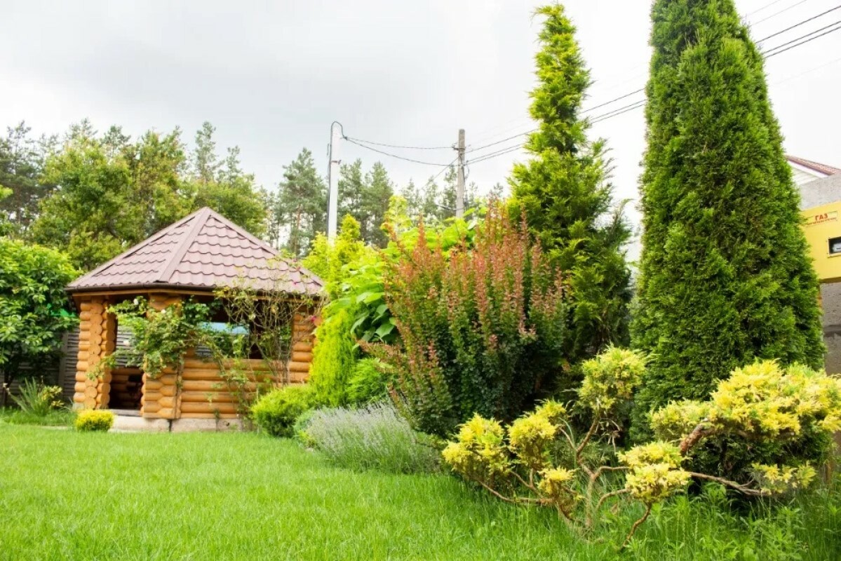 https://pyatigorsk.tgv-stroy.ru/storage/app/uploads/public/637/ef4/fb3/637ef4fb3605f391429275.png
